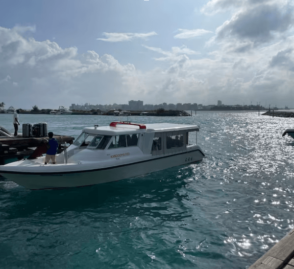 Used Viking Sportfish for Sale in Florida: Price Trends and Market Insights