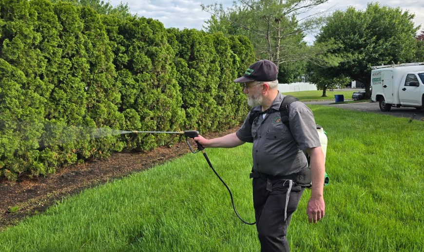 The Season A Northville Backyard Stopped Chasing Mosquitoes