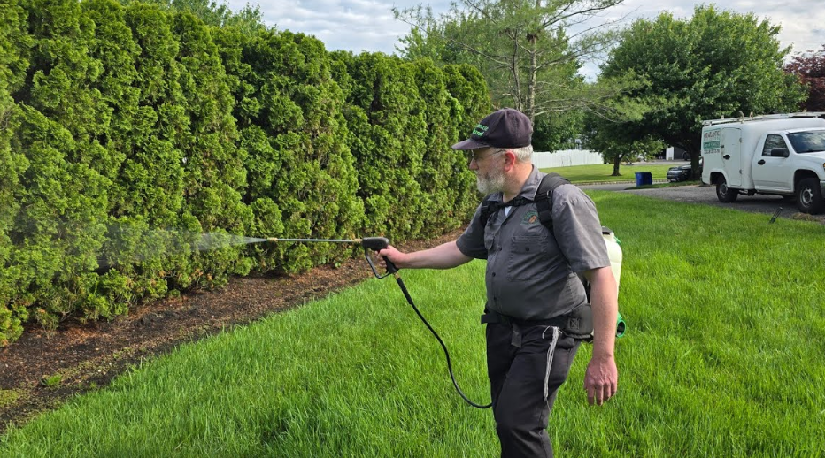 The Season A Northville Backyard Stopped Chasing Mosquitoes
