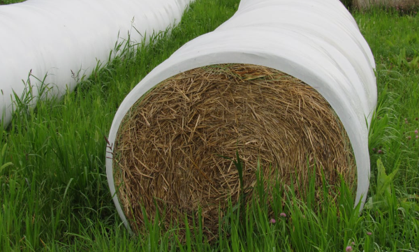 Hay Season Wrapped Up. Now Where Does It All Go?