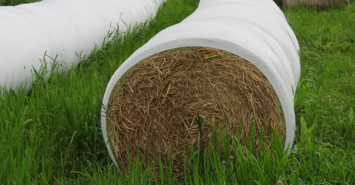 Hay Season Wrapped Up. Now Where Does It All Go?