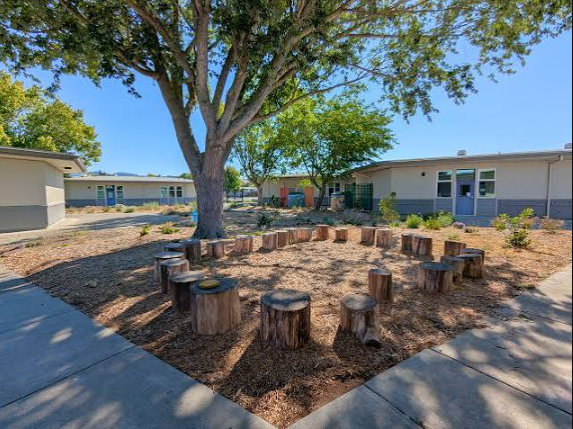 Tree Care Resources for Santa Rosa CA Properties